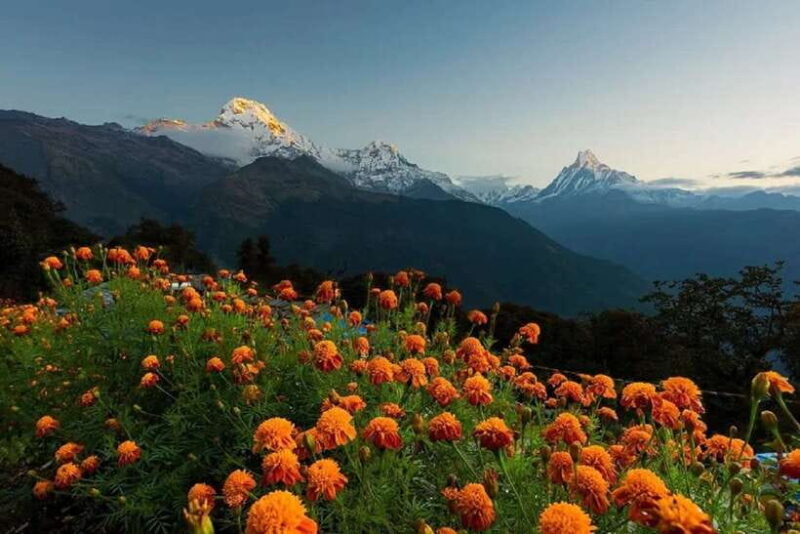 Pokhara: 3-Day Mardi Himal Mountain Trek With Guide - FAQ