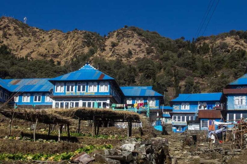 Pokhara: 3 Days Ghorepani poon hill trek - Who Is This Tour Best For?