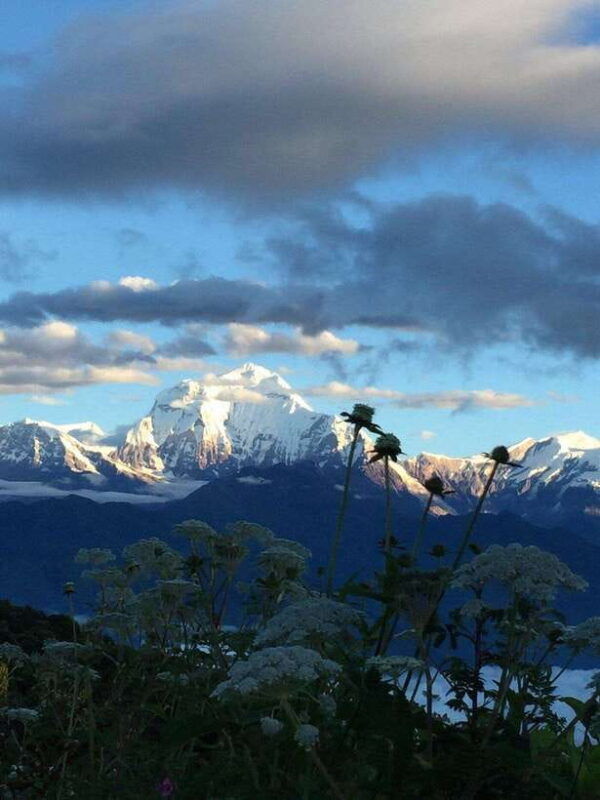 pokhara-3-days-trek-to-poon-hill