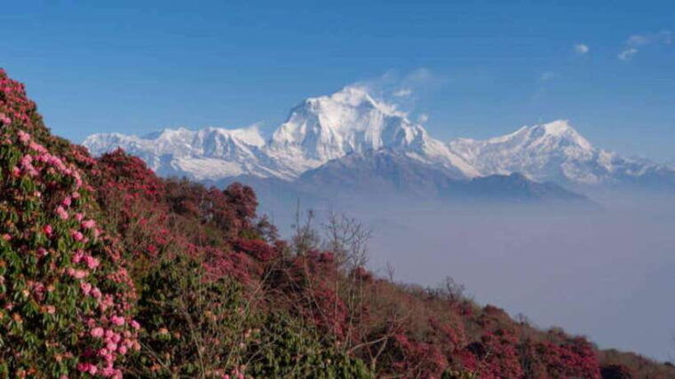 pokhara-3-days-trekking-to-poon-hill