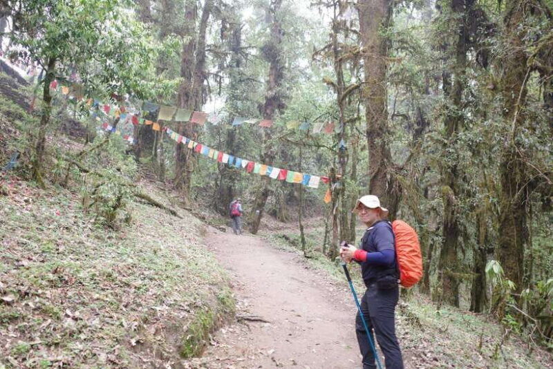 pokhara-4-day-mardi-himal-base-camp-trek-with-transfers