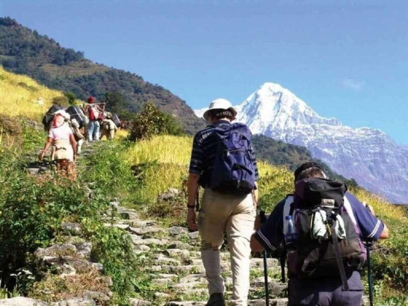 pokhara-4-days-mardi-himal-guided-trek