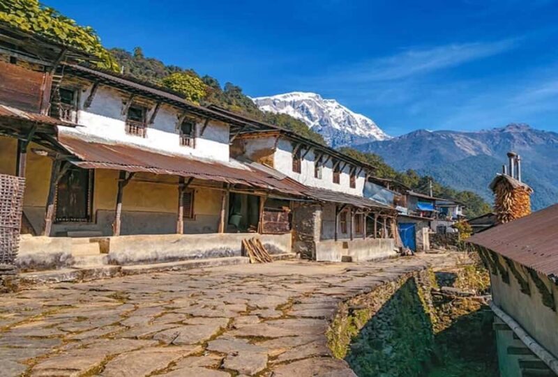 Pokhara: 5 Day Annapurna Base Camp Trek & Natural Hot Spring - The Hot Springs Experience