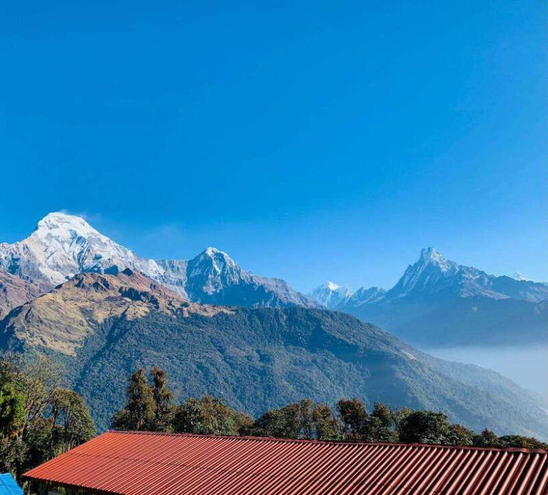 pokhara-5-day-annapurna-poon-hill-trek-and-chitwan-tour