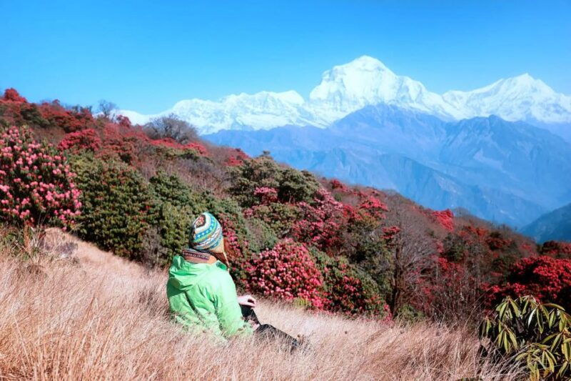 pokhara-5-day-ghorepani-and-poon-hill-private-trek