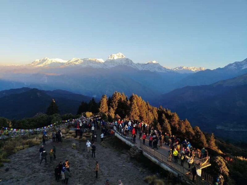 Pokhara: 5-Day Ghorepani Poon Hill Trek - Practical Tips and Insights