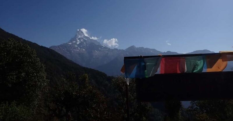 pokhara-5-day-mardi-himal-base-camp-trek-with-transfers