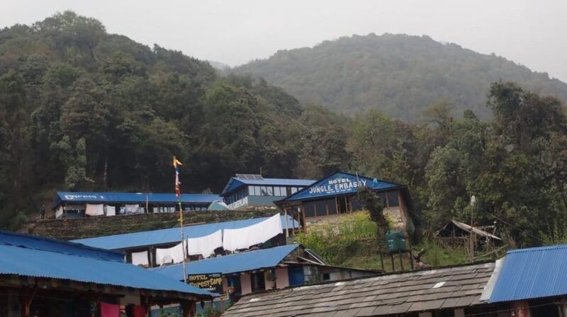 pokhara-5-day-mardi-himal-base-camp-trek-with-transfers