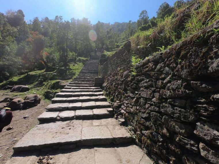 pokhara-7-day-annapurna-base-camp-jhinu-hot-springs-trek