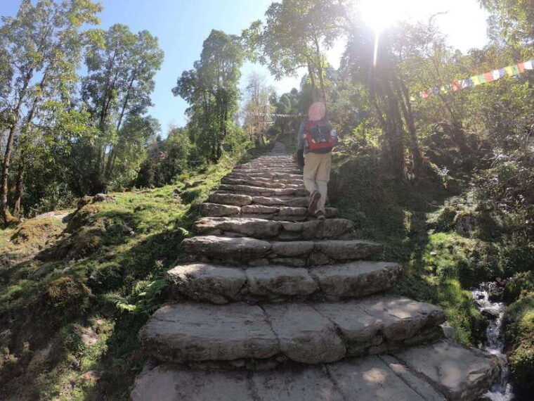 pokhara-7-day-annapurna-base-camp-jhinu-hot-springs-trek