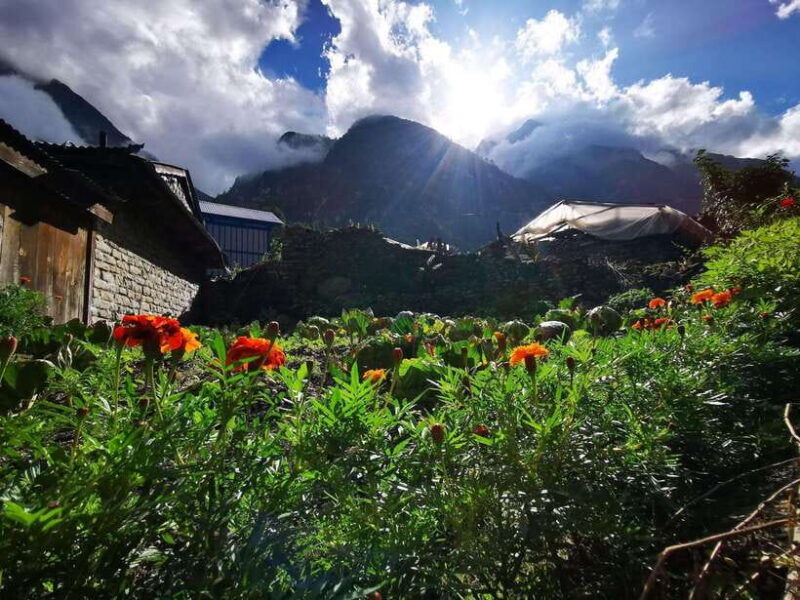 pokhara-7-day-annapurna-base-camp-trek-with-hot-spring