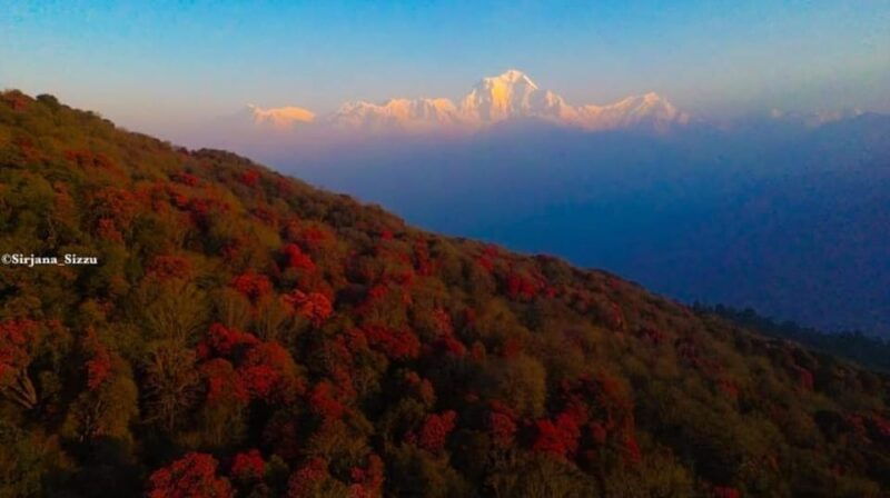 pokhara-7-day-annapurna-base-camp-via-poonhill-hot-spring