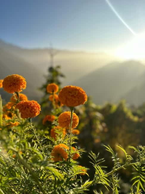 Pokhara: 9-Day ABC Guided Trek Via PoonHill & Hot spring - Authentic Experiences and Hidden Gems