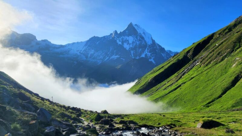 Pokhara: 9-Day Annapurna Base Camp Trek with Poon Hill - Authentic Insights from Reviews