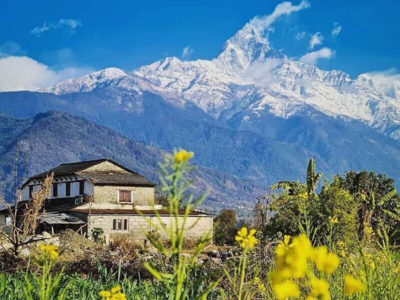 Pokhara: 9-Day Annapurna Base Camp Trek with Poon Hill - Who Should Consider This Trek?