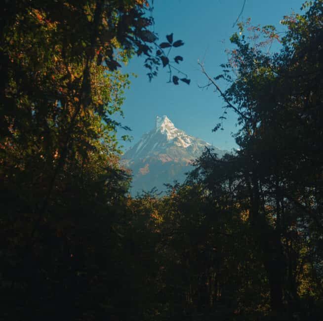 Pokhara: Annapurna Base Camp Trek with Meals and Guide-Nepal - Key Points