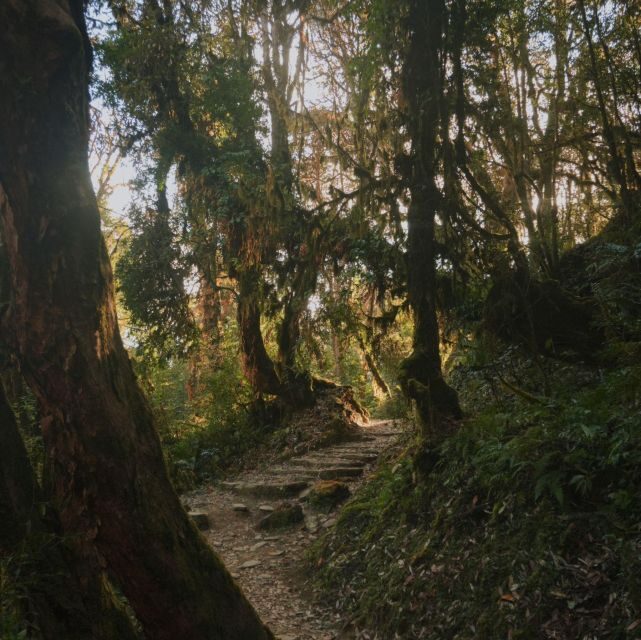 Pokhara: Annapurna Base Camp Trek with Meals and Guide-Nepal - Who Will Love This Trek?