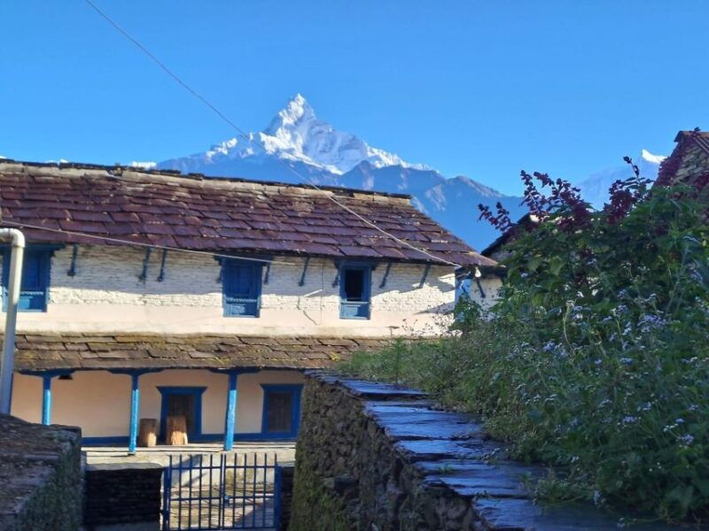pokhara-australian-camp-dhampus-village-group-join-hike