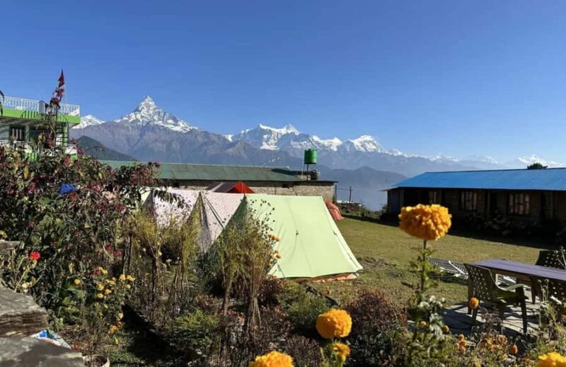 Pokhara: Australian Camp Hiking with Japanese Guide - Key Points