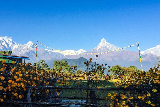 Pokhara: Day Hike at Annapurna Mountain Foothills - What’s Included and What’s Not