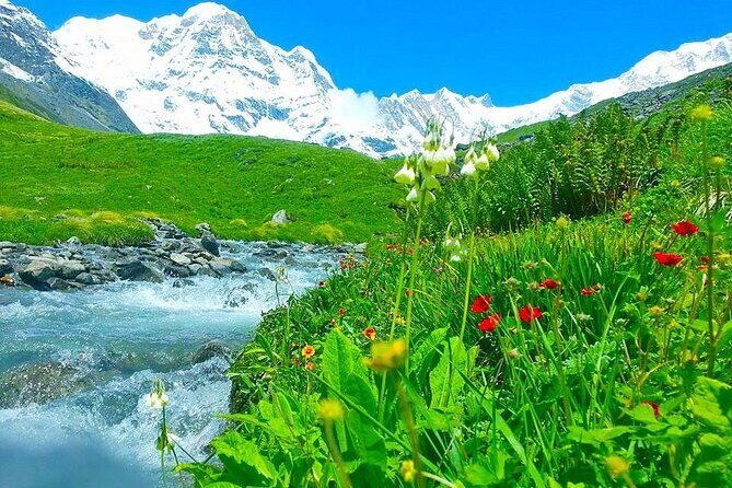 Pokhara: Day Hike at Annapurna Mountain Foothills - Practical Tips