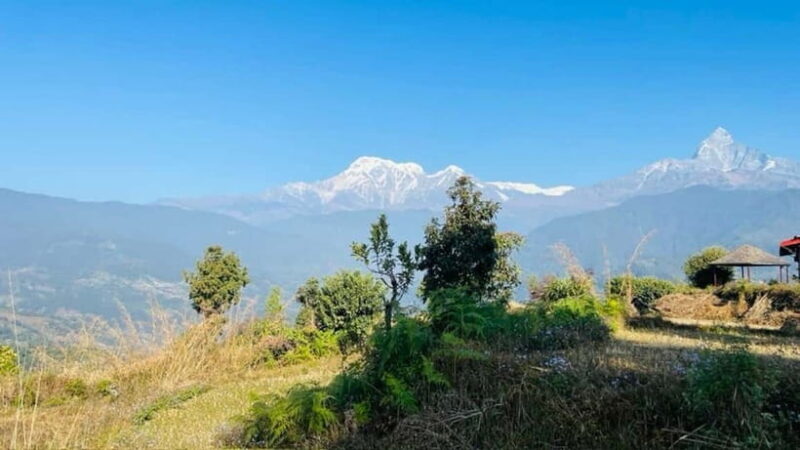 Pokhara : Day Hike To Australian Base Camp with Lunch - Guided Cultural Exploration: Gurung Settlements