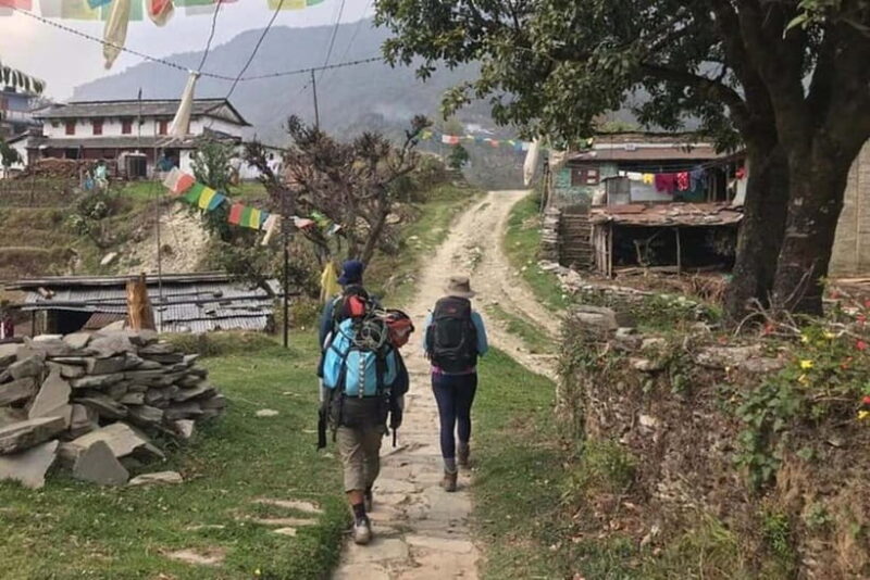 Pokhara : Day Hike To Australian Base Camp with Lunch - Back to Pokhara: Comfortable Transfer and Reflection