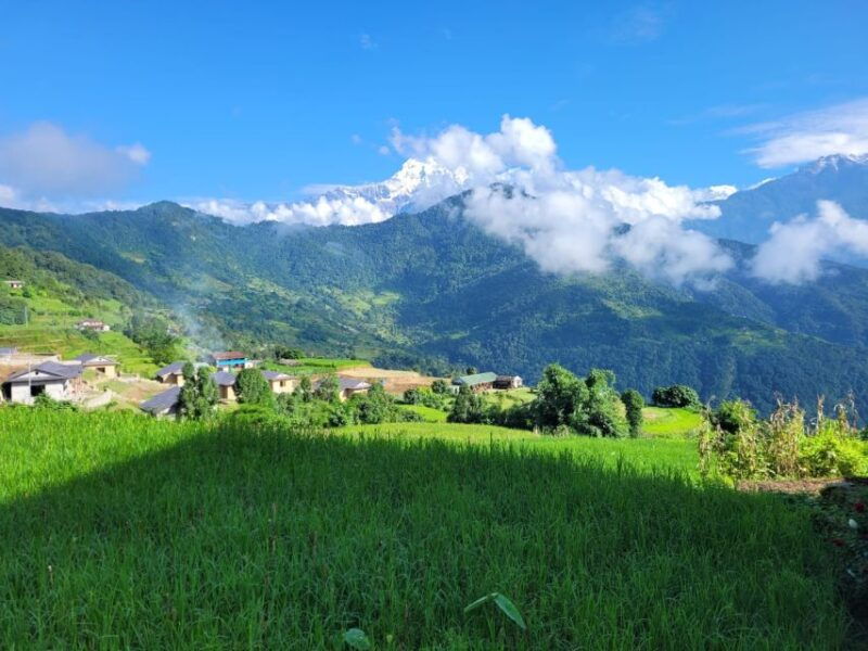 pokhara-day-hike-to-australian-camp-and-dhampus-village