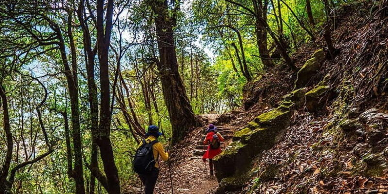 Pokhara: Day Hike to Australian Camp - Key Points