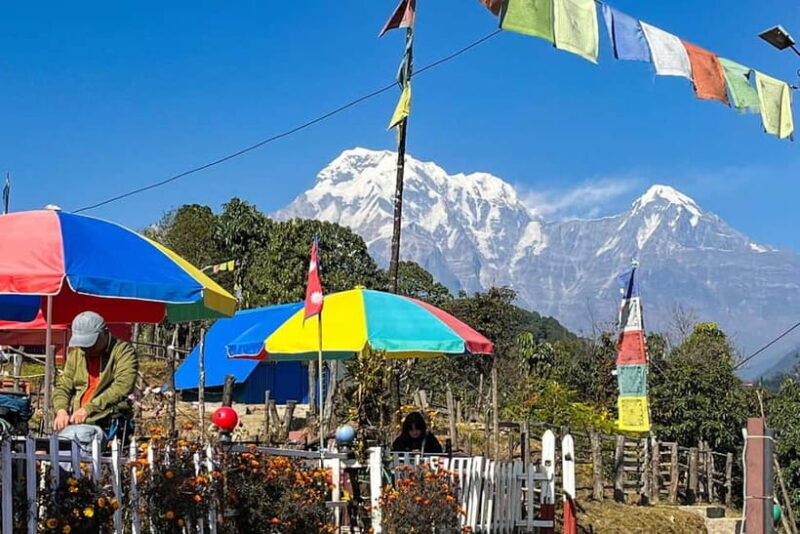 Pokhara: Day Hike to Australian Camp - Introduction to the Hike