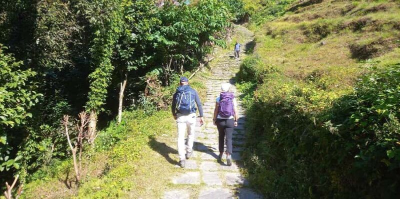 Pokhara: Day Hike to Australian Camp with Guide & Lunch - Who Should Consider This Tour?