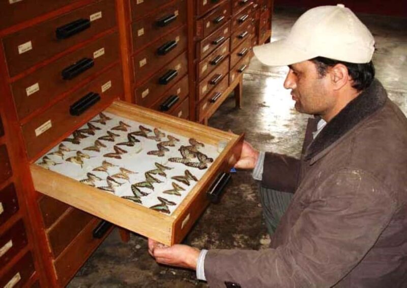 Pokhara: Full-Day Museum Tour with Snacks and Tea - Deep Dive into the Itinerary