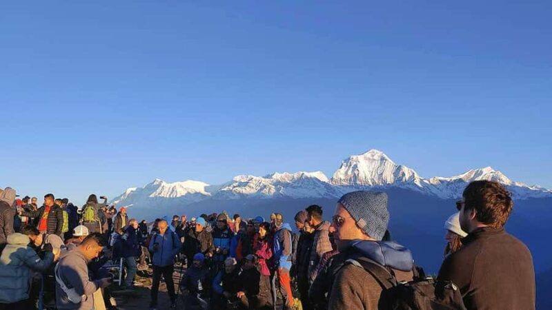 Pokhara: Luxury Ghandruk to Ghorepani Jeep Tour and Hike - What to Expect from the Tour