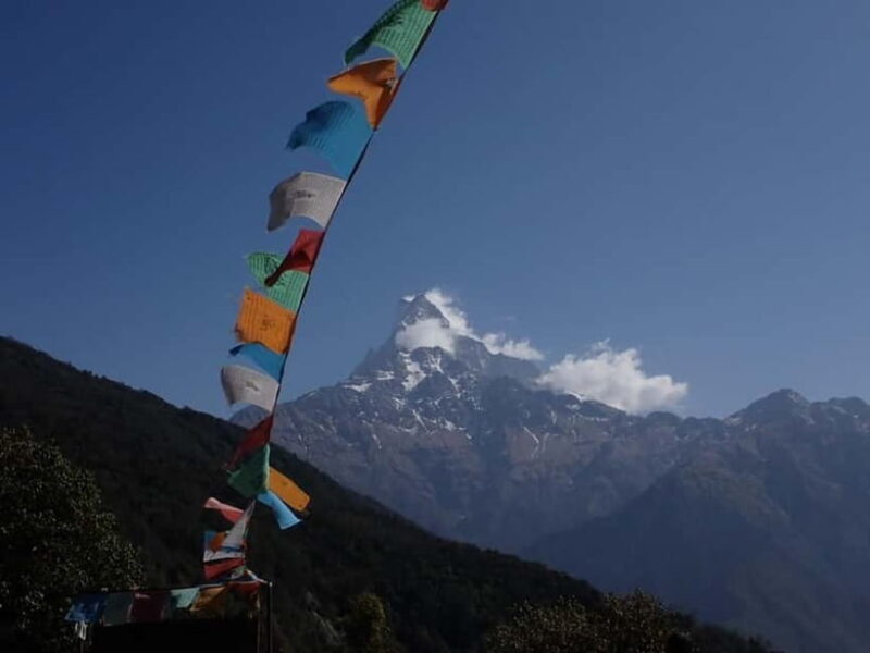 Pokhara: Mardi Himal 4-Day Trek with Guide and Lodging - Final Thoughts: Who Is This Trek Perfect For?