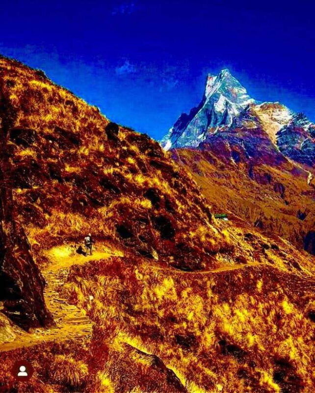 pokhara-mardi-himal-trek-with-1-night-in-a-forest-camp