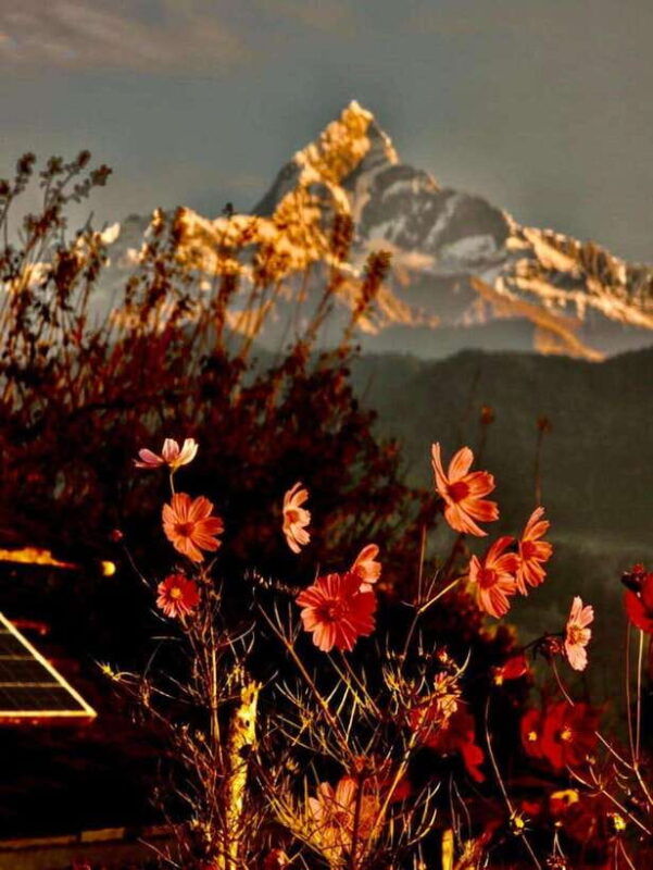 pokhara-mardi-himal-trek-with-1-night-in-a-forest-camp