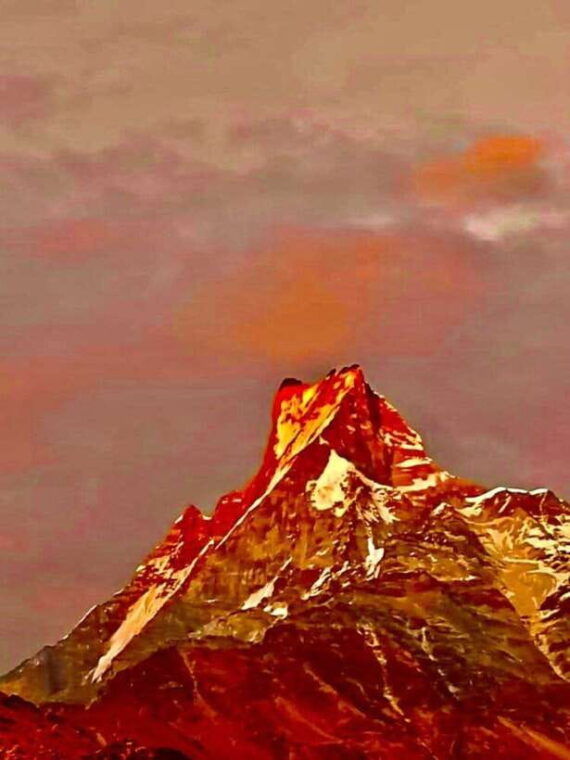 pokhara-mardi-himal-trek-with-1-night-in-a-forest-camp