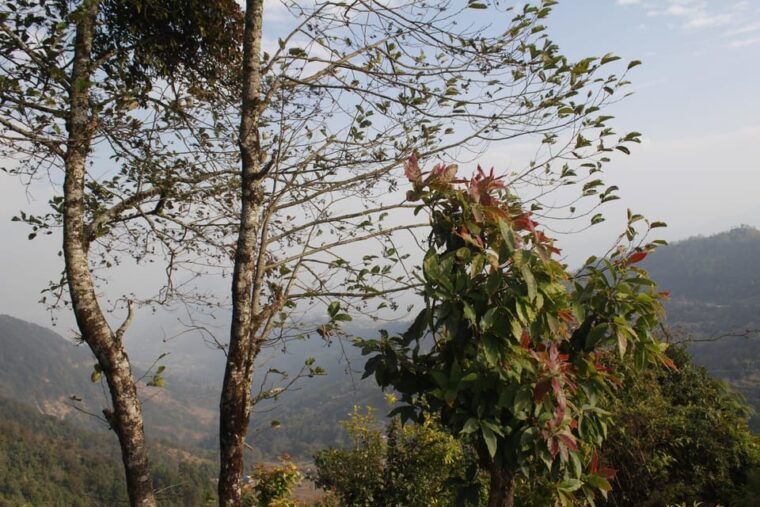 pokhara-one-night-camping-campfire-stay-at-australian-camp