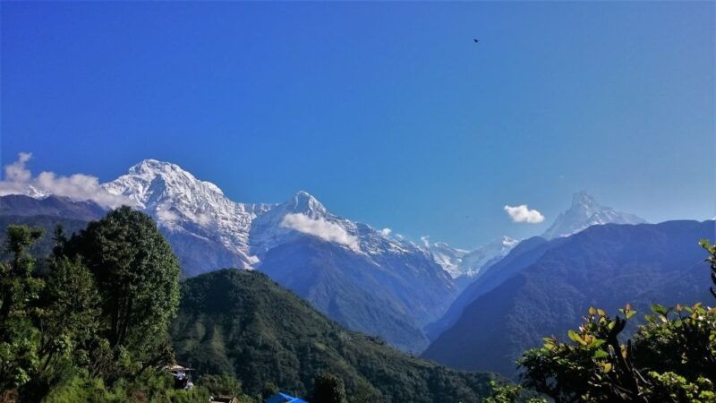 pokhara-one-night-homestay-tour-in-typical-lwang-village