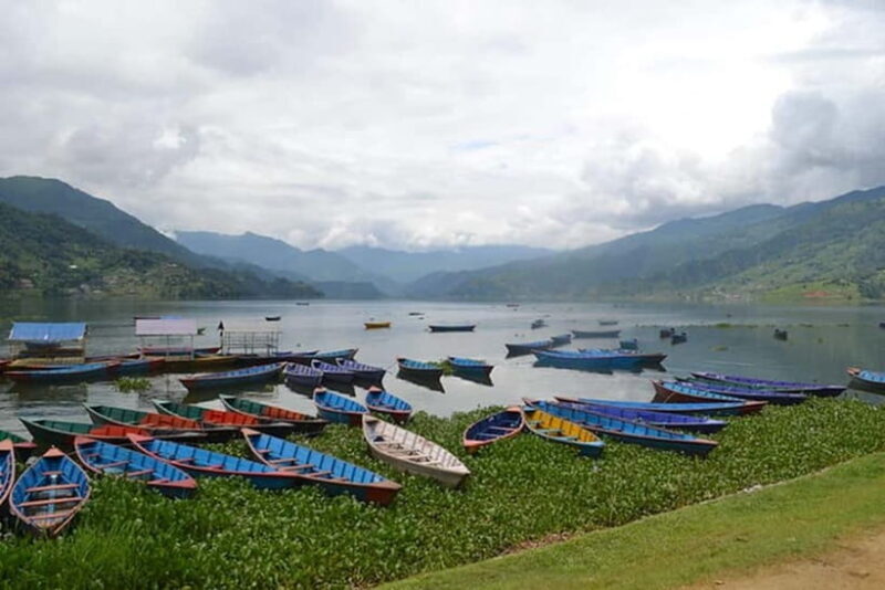 Pokhara: Phewa Lake to Begnas Lake Scenic Drive - Who Will Love This Tour?