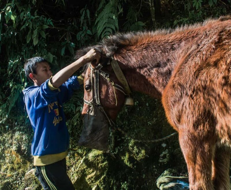 Pokhara: Poon Hill Culture Trek & Village Homestays (4-Day) - Key Points