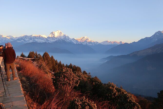 Pokhara Private 9 Day Trek Tour to Poon Hill Annapurna Base Camp - What Makes This Tour Stand Out?
