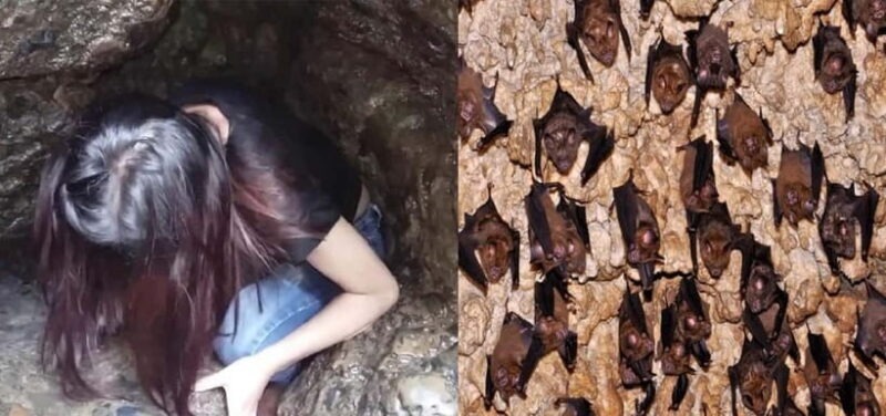 Pokhara: Private Full-Day Tour to 7 Iconic Attractions - Final Thoughts: Who Is This Tour Perfect For?