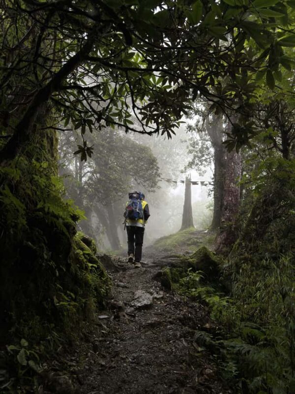 Pokhara: Queen Forest Hike to Santi Stupa & Lake Boating - Why This Tour Offers Great Value