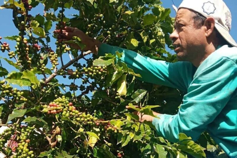 Pokhara: Sarangkot Village Coffee Culture & Local Life Hike - Starting Point and Transportation