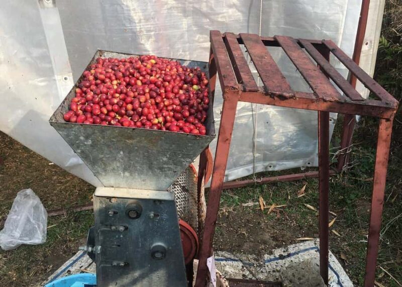 Pokhara: Sarangkot Village Coffee Culture & Local Life Hike - Visiting Coffee Farms and Learning About Production