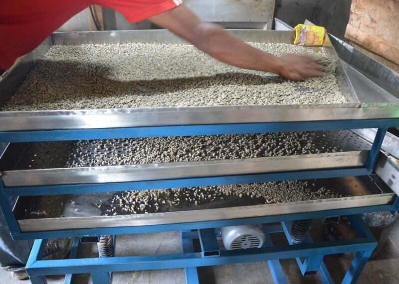 Pokhara: Sarangkot Village Coffee Culture & Local Life Hike - Who Should Consider This Tour?