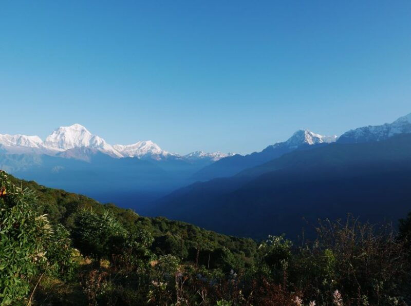 pokhara4-day-ghorepani-poon-hill-guided-trek-via-ghandruk