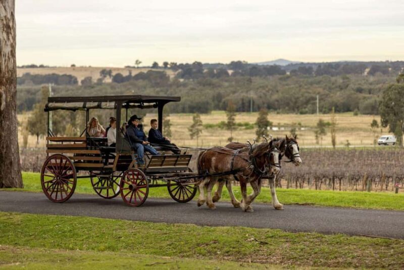 Pokolbin: Harvest the Hunter Horse Drawn Carriage Tour 3hrs - Pokolbin: Harvest the Hunter Horse Drawn Carriage Tour 3hrs - An Authentic Vineyard Experience