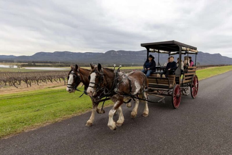 Pokolbin: Harvest the Hunter Horse Drawn Carriage Tour 3hrs - Who Will Love This Tour?